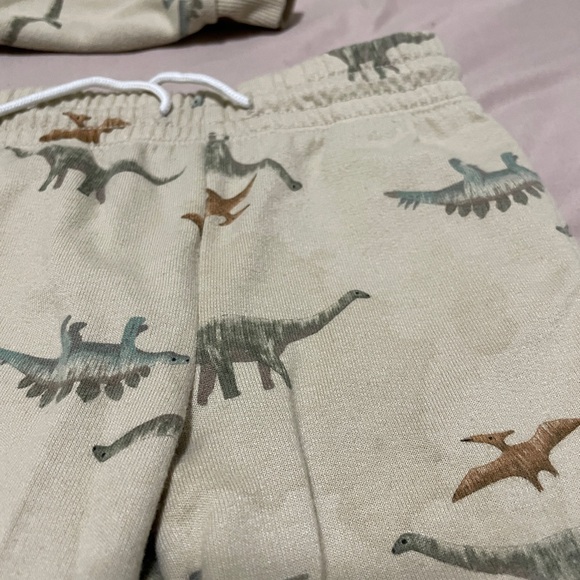 *SOLD*Large Carters Dino Lot - Picture 6 of 16